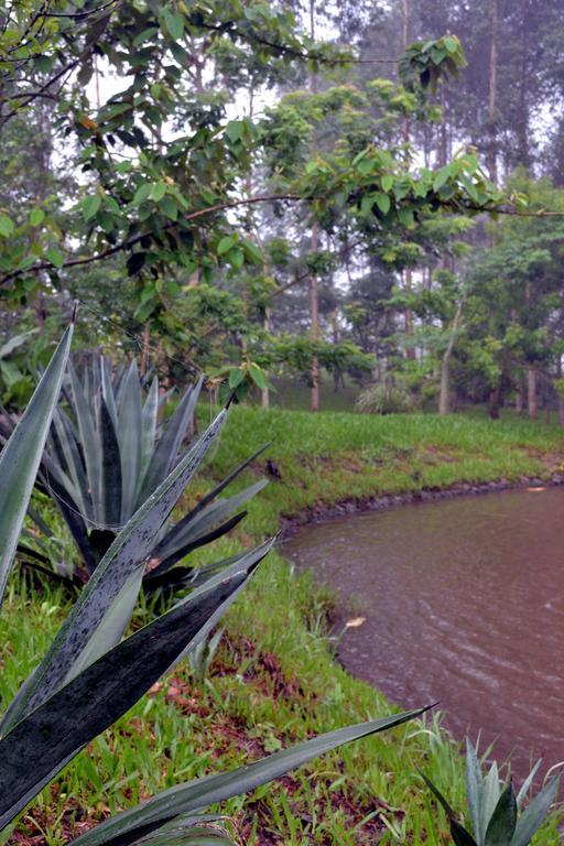 Pousada Guata Pora Foz do Iguaçu Eksteriør billede