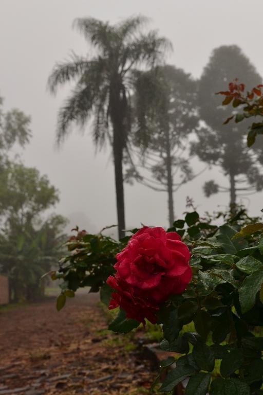 Pousada Guata Pora Foz do Iguaçu Eksteriør billede