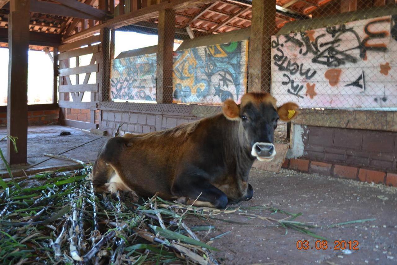 Pousada Guata Pora Foz do Iguaçu Eksteriør billede