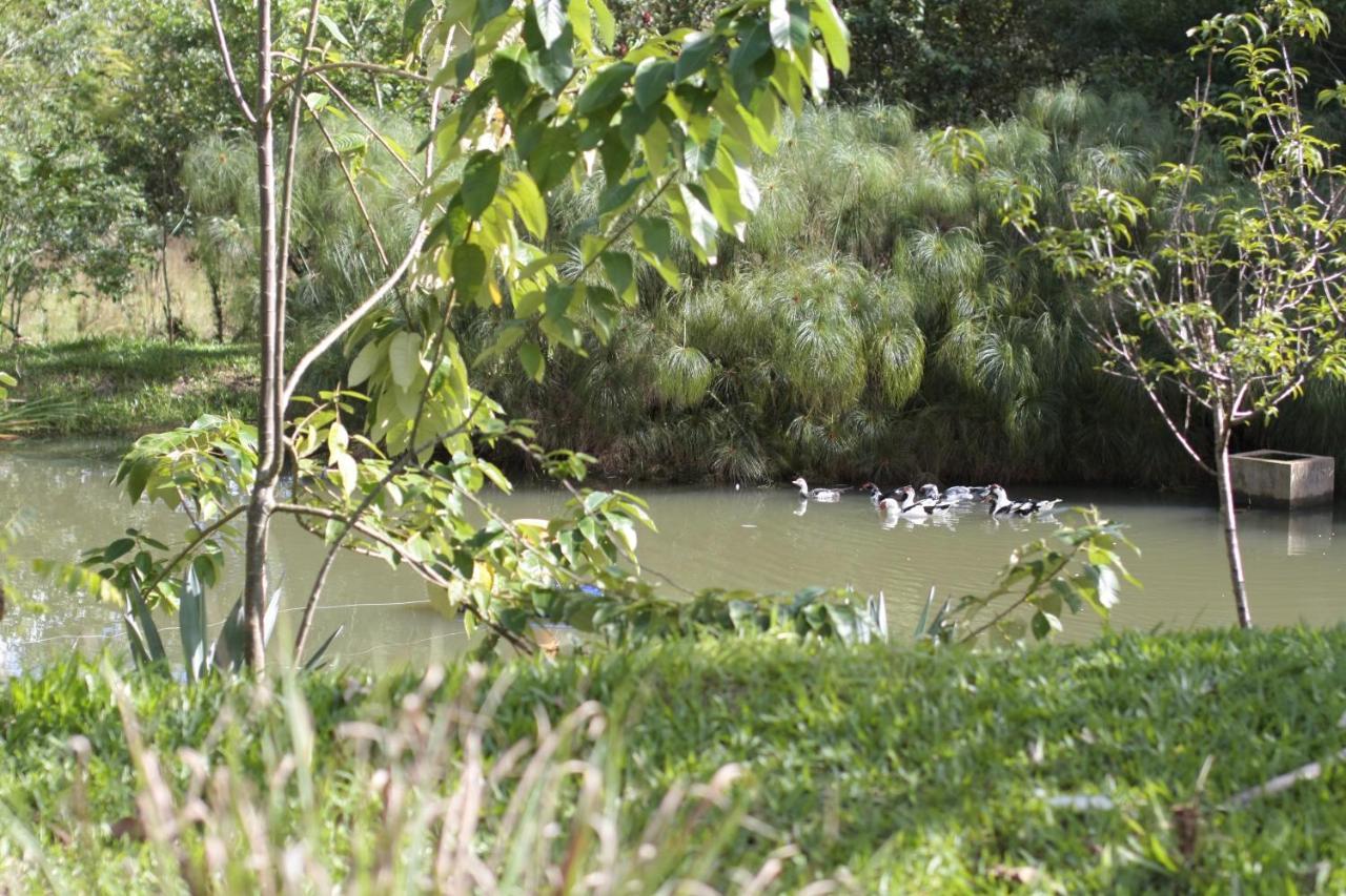 Pousada Guata Pora Foz do Iguaçu Eksteriør billede